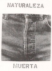 poema naturaleza muerta 2 cortesia nel amaro courtesy from the artist to klauss van damme all rights reserved vegap